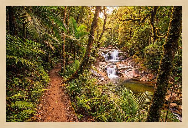 Island Waterfall Hike Trail