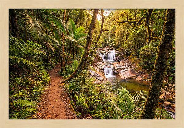 Island Waterfall Hike Trail