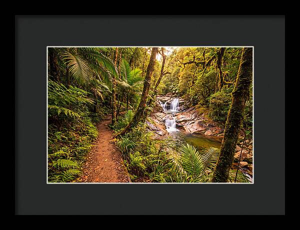 Island Waterfall Hike Trail