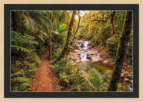 Island Waterfall Hike Trail