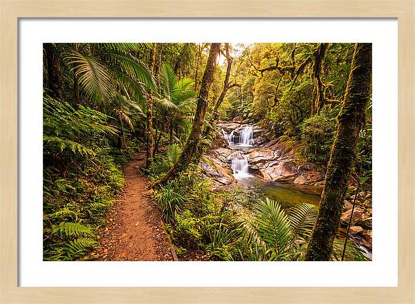 Island Waterfall Hike Trail