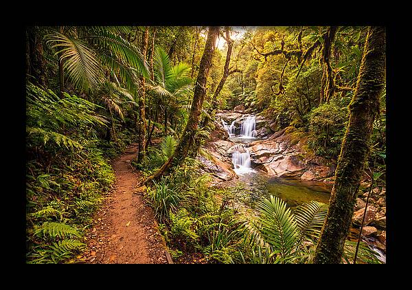 Island Waterfall Hike Trail