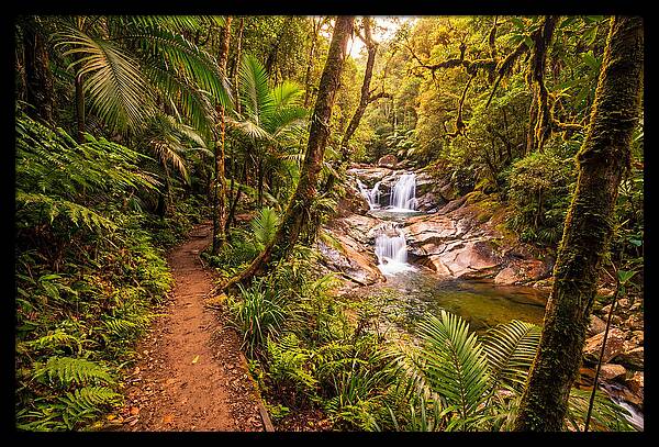 Island Waterfall Hike Trail