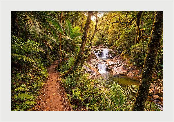 Island Waterfall Hike Trail