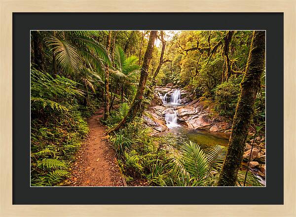 Island Waterfall Hike Trail