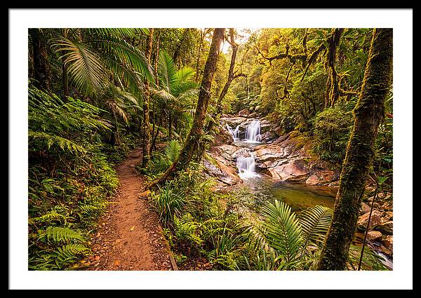 Island Waterfall Hike Trail