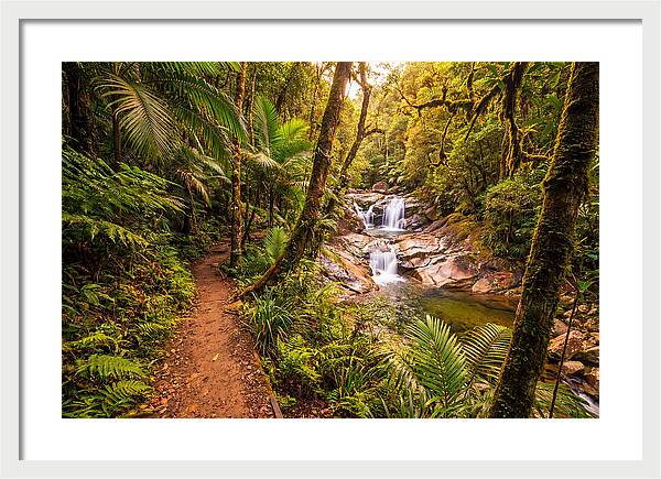 Island Waterfall Hike Trail