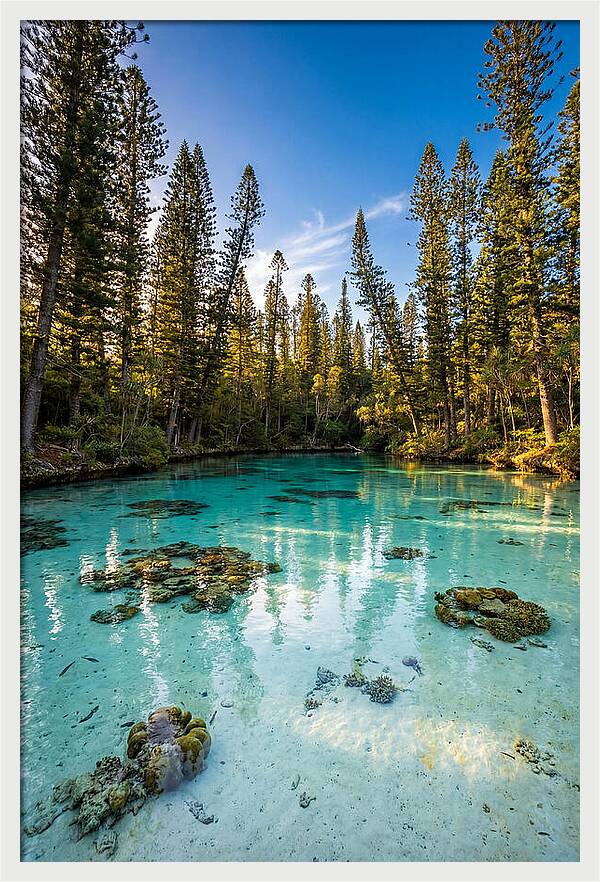 Isle Of Pines Natural Pool At Golden Hour