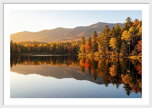Itasca State Park Serenity