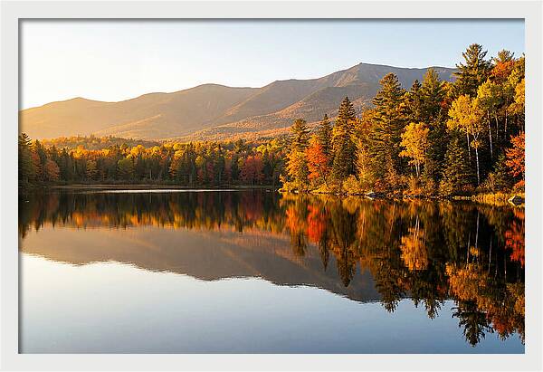 Itasca State Park Serenity