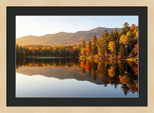 Itasca State Park Serenity