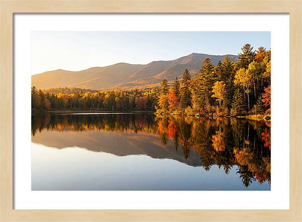 Itasca State Park Serenity