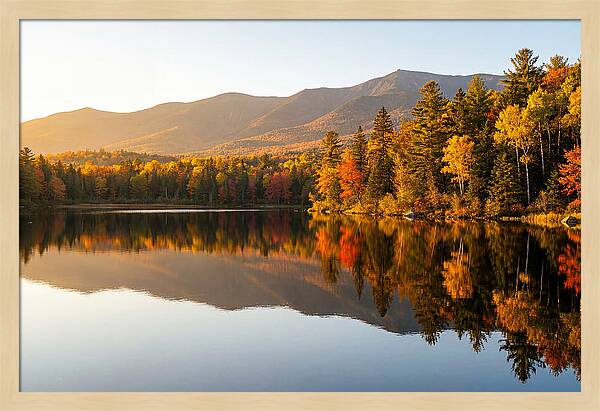 Itasca State Park Serenity