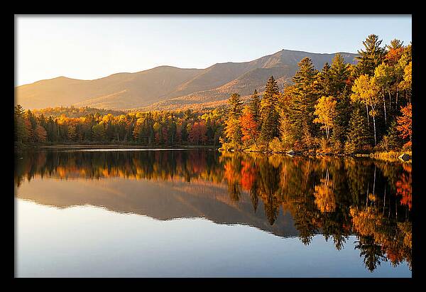 Itasca State Park Serenity