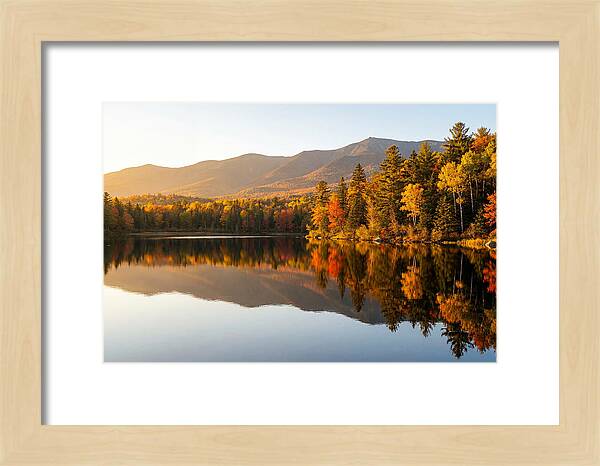 Itasca State Park Serenity