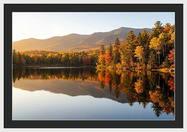 Itasca State Park Serenity