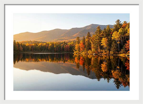Itasca State Park Serenity