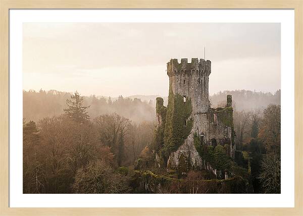 Ivy Covered Castle Tower