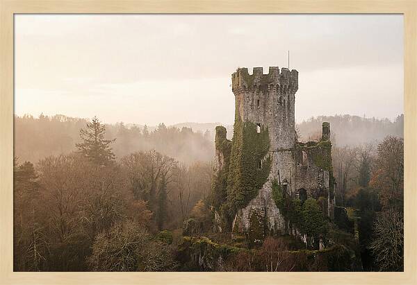 Ivy Covered Castle Tower