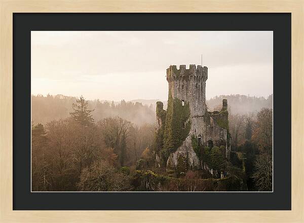 Ivy Covered Castle Tower