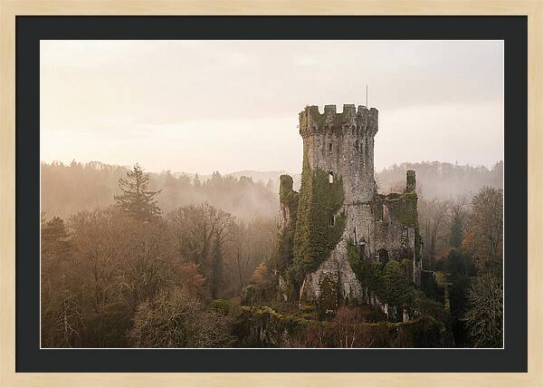 Ivy Covered Castle Tower