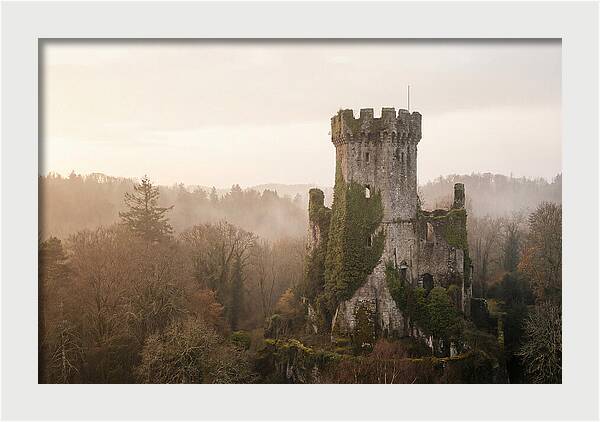 Ivy Covered Castle Tower
