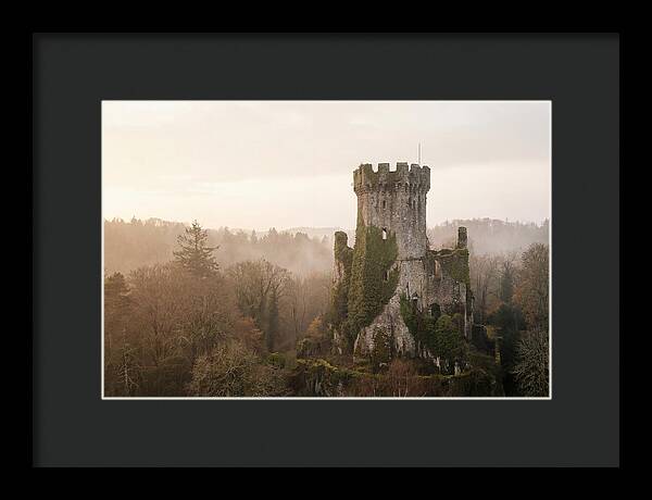 Ivy Covered Castle Tower