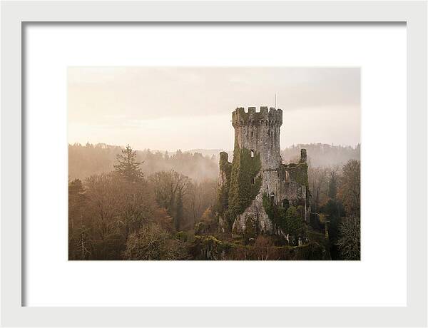 Ivy Covered Castle Tower