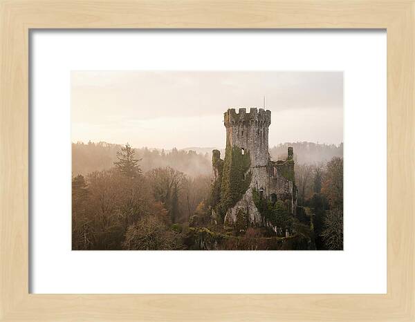 Ivy Covered Castle Tower