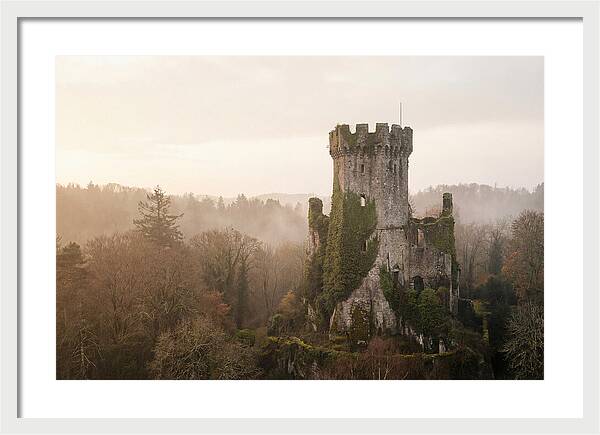 Ivy Covered Castle Tower