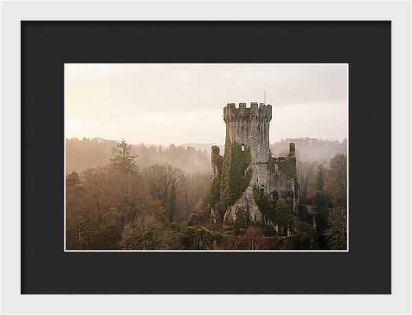 Ivy Covered Castle Tower