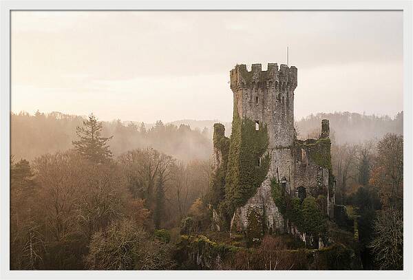 Ivy Covered Castle Tower