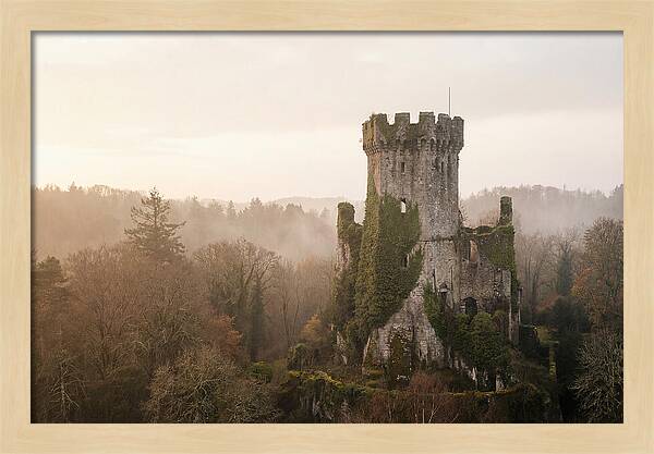 Ivy Covered Castle Tower
