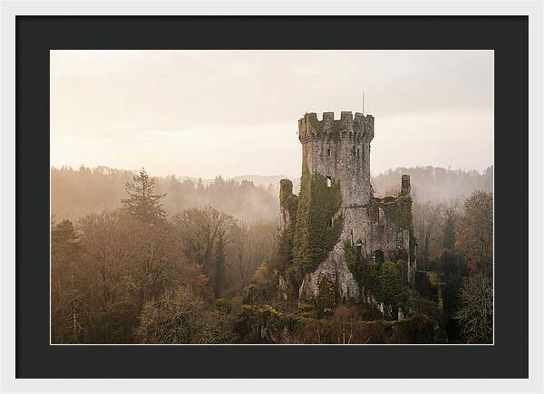 Ivy Covered Castle Tower