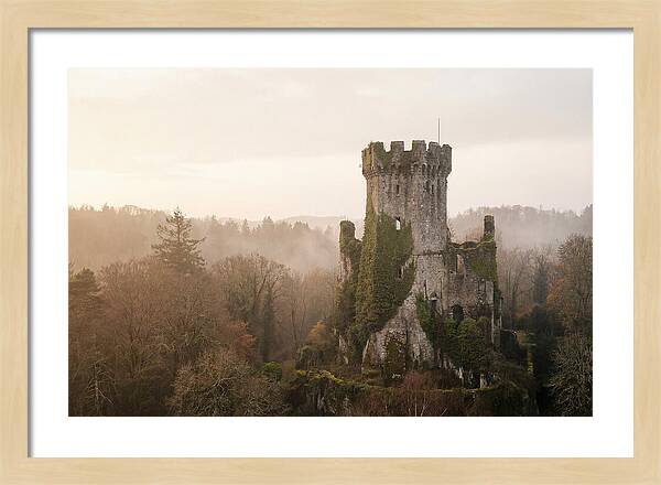 Ivy Covered Castle Tower