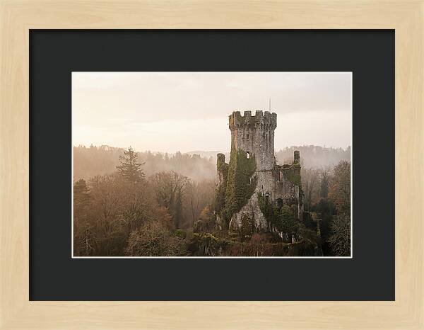 Ivy Covered Castle Tower