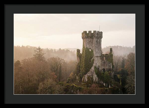 Ivy Covered Castle Tower