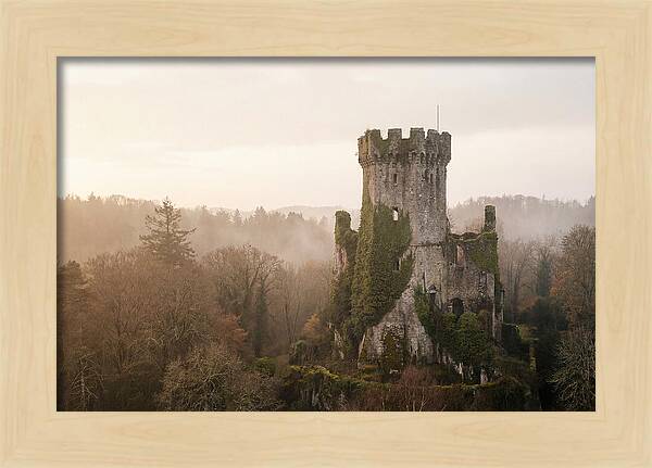Ivy Covered Castle Tower