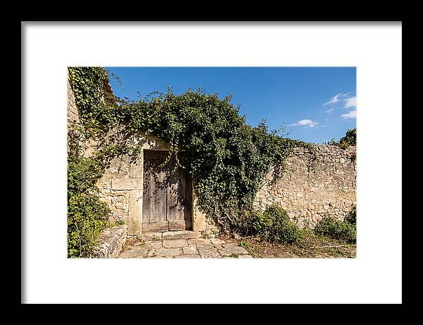 Ivy Covered Doorway In Old Wall