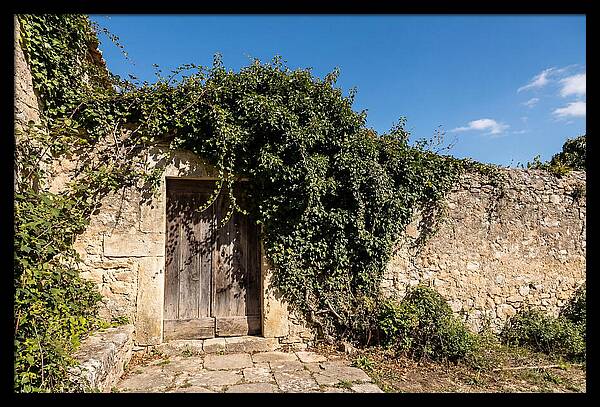 Ivy Covered Doorway In Old Wall