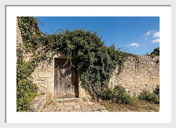 Ivy Covered Doorway In Old Wall