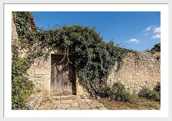 Ivy Covered Doorway In Old Wall
