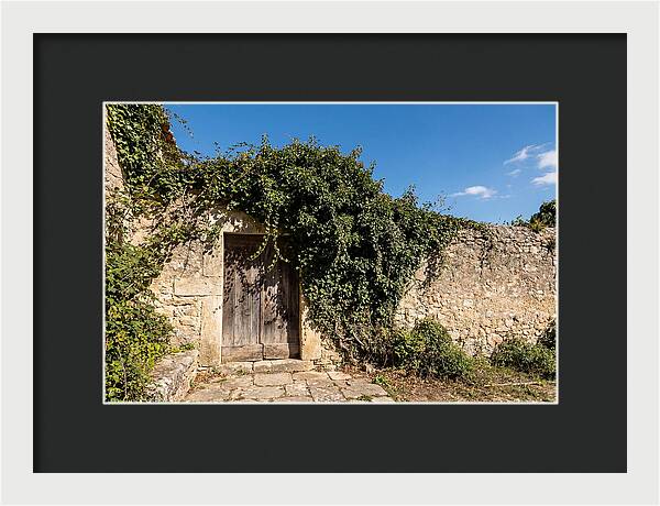 Ivy Covered Doorway In Old Wall