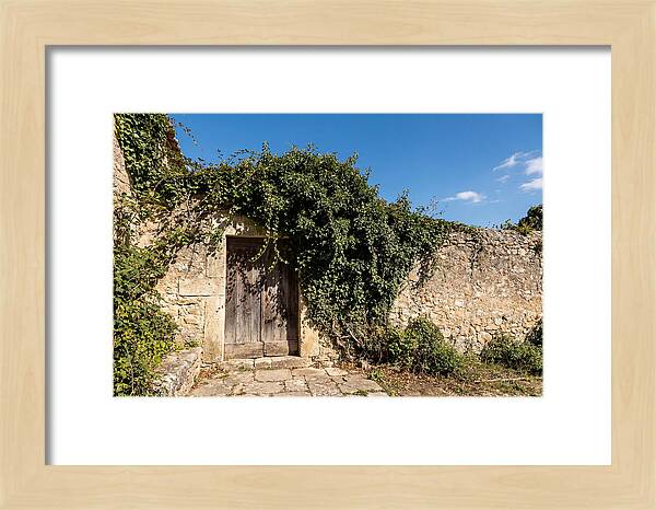 Ivy Covered Doorway In Old Wall