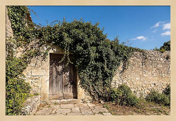 Ivy Covered Doorway In Old Wall