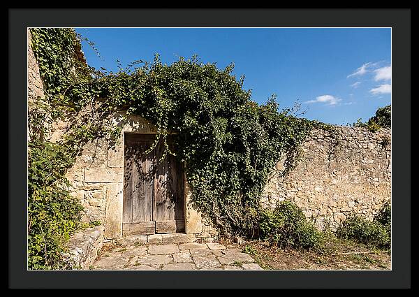 Ivy Covered Doorway In Old Wall