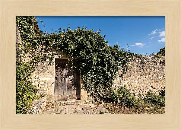 Ivy Covered Doorway In Old Wall