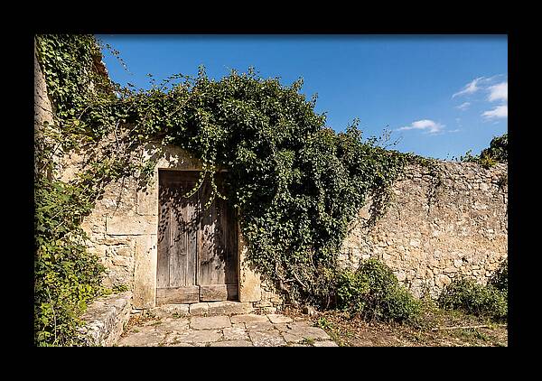 Ivy Covered Doorway In Old Wall