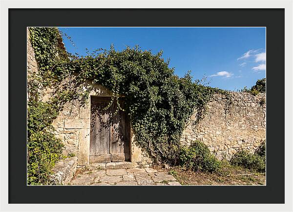 Ivy Covered Doorway In Old Wall