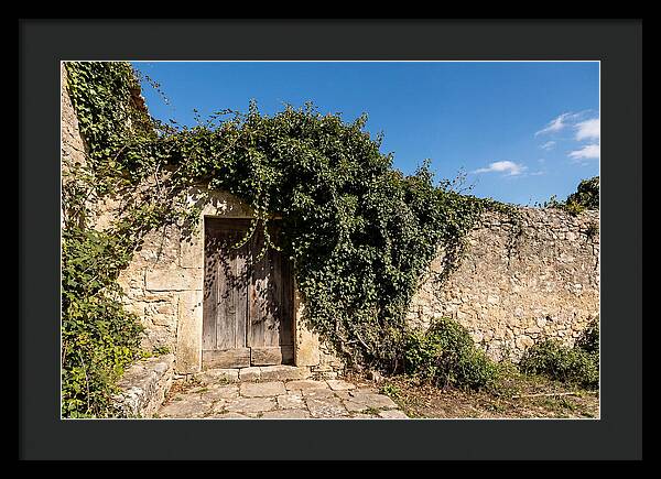 Ivy Covered Doorway In Old Wall